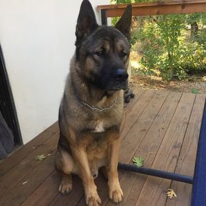 Meet your Posher, Siamac